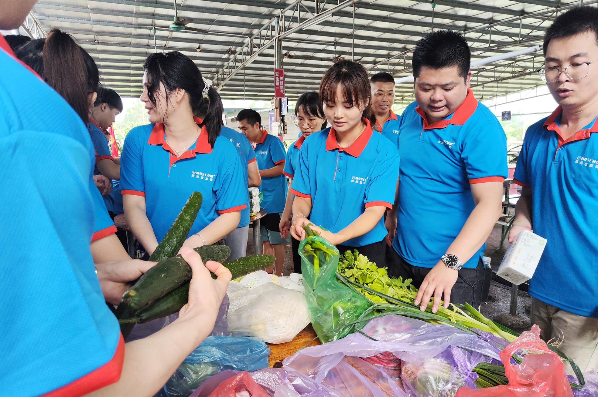 新葡的京集团350vip8888(中国)有限公司官网